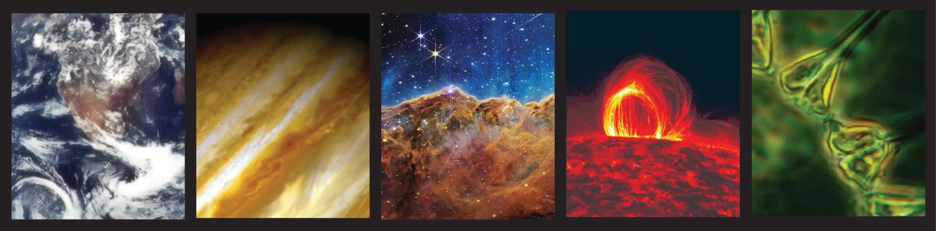 all scix focus areas